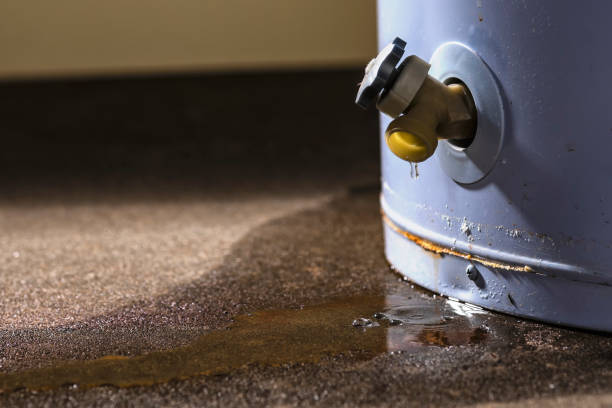 Best Professional water damage repair  in Marks, MS