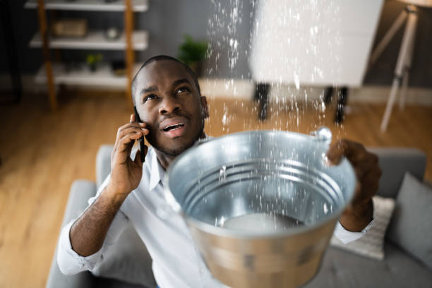 Best Water damage restoration company  in Marks, MS