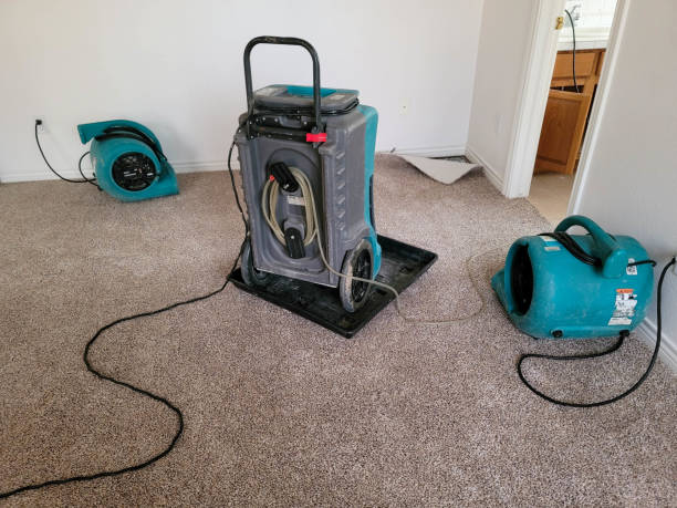 Best Mold removal after water damage  in Marks, MS