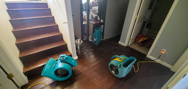 Best Flood damage cleanup  in Marks, MS