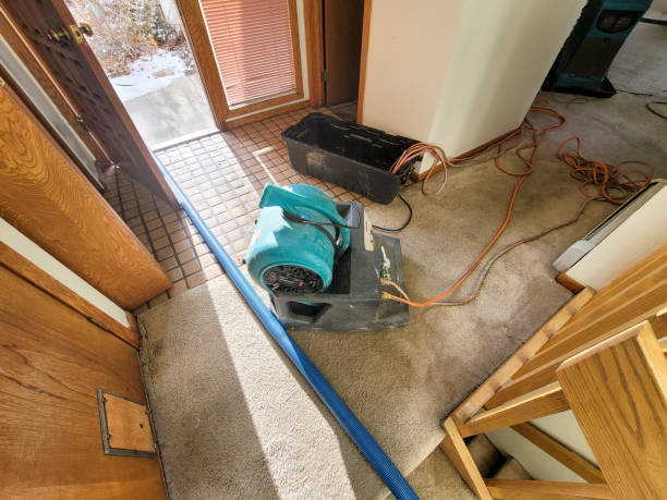 Best 24/7 water damage repair  in Marks, MS