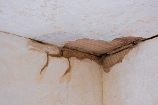 Best Flood restoration services  in Marks, MS