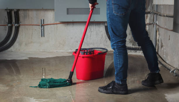 Best Carpet water damage restoration  in Marks, MS