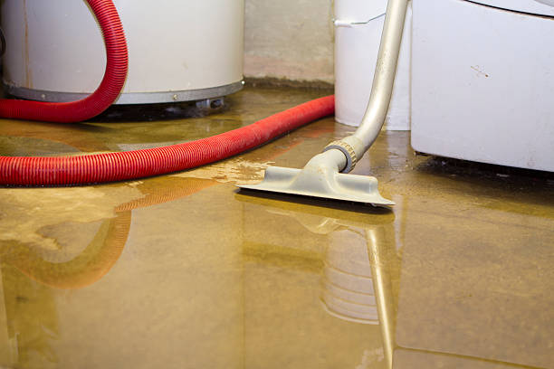 Best Emergency water extraction  in Marks, MS