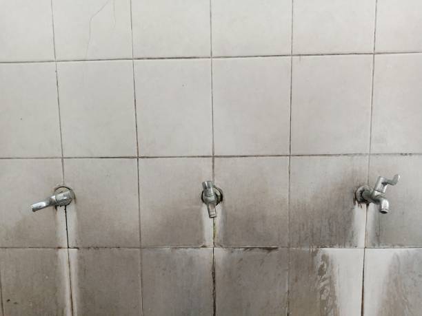 Best Flooded house restoration  in Marks, MS