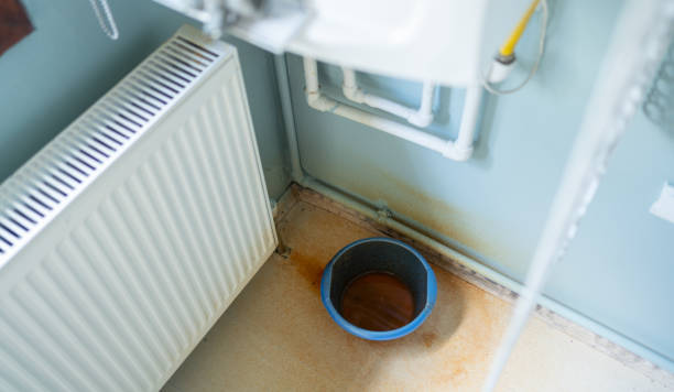 Best Carpet water damage restoration  in Marks, MS
