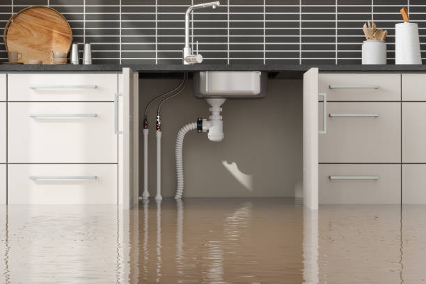 24/7 water damage repair in MS