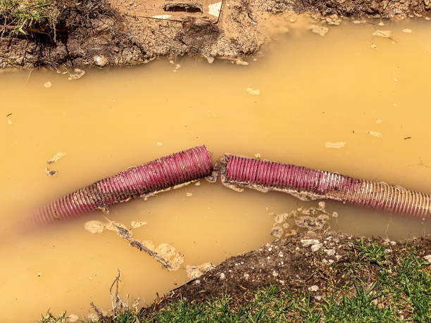Water damage restoration experts in MS
