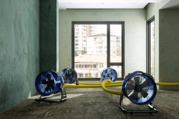 Best Commercial water damage restoration  in Marks, MS
