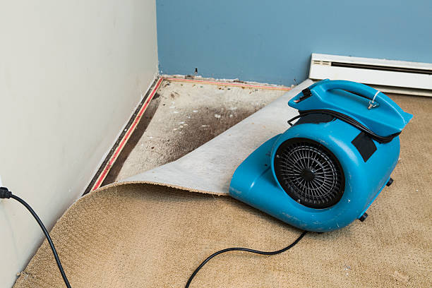 Best Fire Damage Restoration  in Marks, MS
